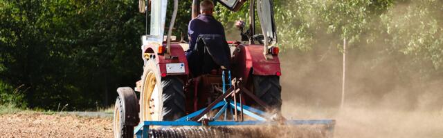 Ova biljka je hit na tržištu: U Srbiji prinos do 20.000 kg po hektaru, nije teška za uzgajanje