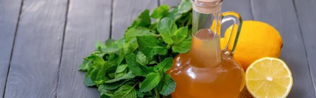Miris leta u čaši: Domaći sirup od nane i limuna za vrele dane