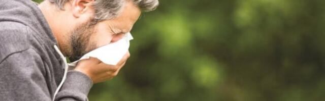 SEZONA POLENA I ALERGIJA TRAJE DUŽE NEGO RANIJE! Počinje pre proleća i završava se tek na jesen, stručnjaci objasnili ZAŠTO JE TO TAKO