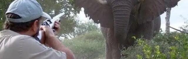 Jedan od najprofilnijih trofejnih lovaca na svetu završio sa metkom u glavi