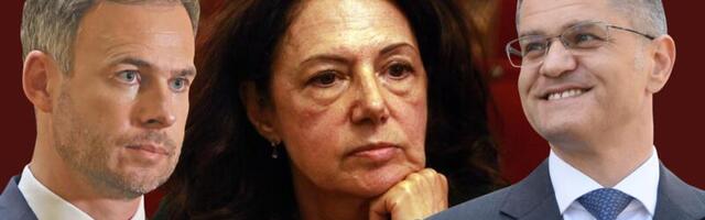 Sanda Rašković Ivić ponovila: Aleksića ne kandiduju članstvo i stranka, nego mediji, tviteraši i Zapadne ambasade!