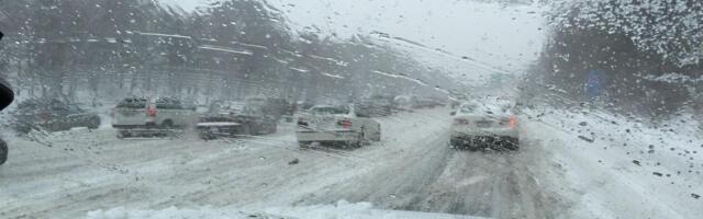 Saobraćaj u Novom Sadu: Šta se dešava na ulicama