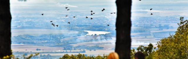 Zabrinjavajuća objava srpskog fotografa: Vreme je da saznate šta se dešava na Fruškoj gori