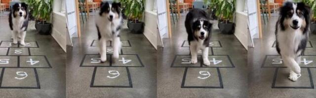 TURNIR SMRTI RUŠI SVE REKORDE! Čak se i on zaludeo serijom "Squid game"!