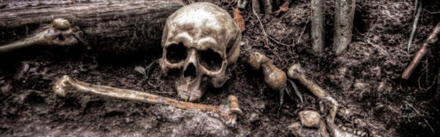 "SLIKAR LJUDSKOM KRVLJU" PRODAVAO LJUDSKE OSTATKE: Delove leševa ukradenih iz MRTVAČNICE, oglašavao na mrežama, ono što mu je pronađeno u kući je za NEVERICU! BOLESNO!