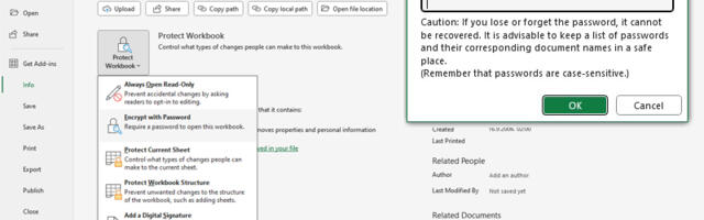 Zaštita radne sveske ili čitavog Excel dokumenta