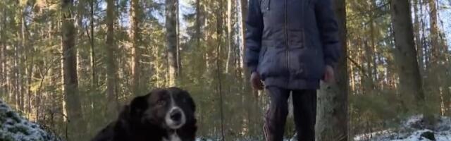 VERNI PAS POMOGAO STARICI DA PREŽIVI: Pronađena nestala penzionerka (VIDEO)