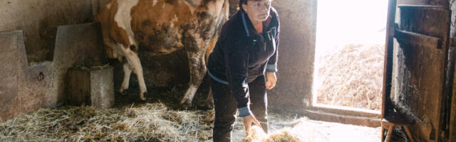 SLAVICA SA PRVIM PETLOVIMA IDE U ŠTALU, A NA SPAVANJE... Odmara samo na crveno slovo, ovako joj izgleda dan (FOTO)