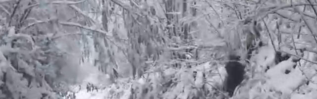 Meteorolog najavio kada stiže “zver sa istoka”: Tada počinju ledeni dani