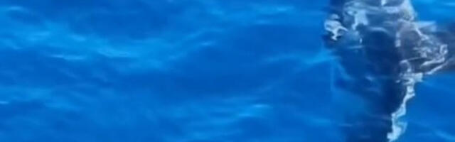 POSLEDICE ĆE BITI OGROMNE! Naučnici u šoku šta se dešava u OKEANU! Ovo nikako nije dobro