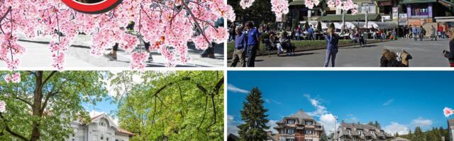 Temperatures to rise to 25 degrees! SPRING returns to Serbia starting on this date