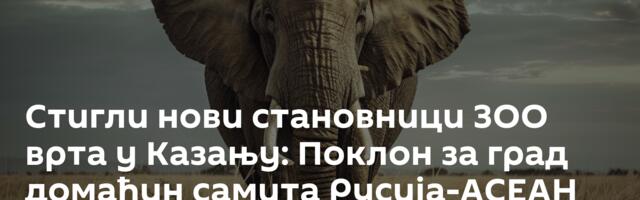 Стигли нови становници ЗОО врта у Казању: Поклон за град домаћин самита Русија-АСЕАН /видео/