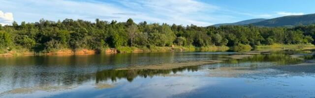 Retko posećeno mesto: Na 15 kilometara od Pirota nalazi se pravi raj, jezero koje je pravi odmor za mozak
