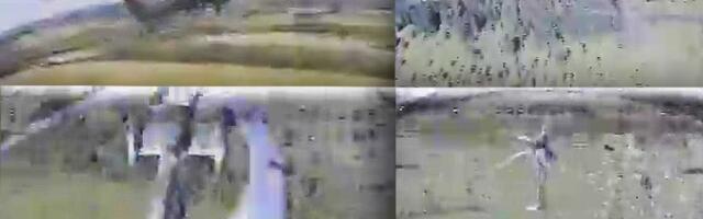 (VIDEO) Šokantan snimak! Usred Rusije oborena moćna zver na neverovatan način: Doletelo je odozgo, nije mu bilo spasa