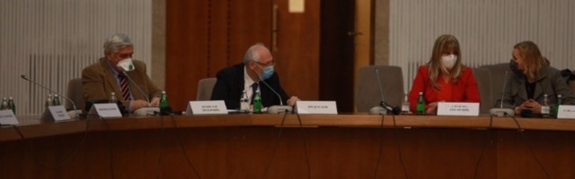 Kon bez reči: Neka pričaju političari