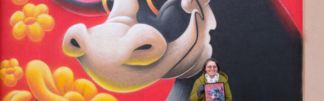 Priče o muralima koji su promenili grad: Podrži DUK festival i realizaciju monografije o festivalu