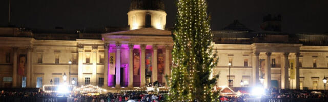 Лондонска божићна јелка, коју традиционално поклања Норвешка, биће осветљена вечерас