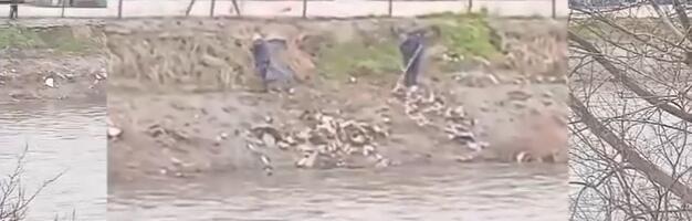 Radnici JKP Čistoća grabuljama guraju otpad u Ibar? (VIDEO)