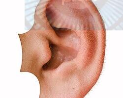 U nedelju povodom svetskog dana sluha pregledi bez zakazivanja i uputa