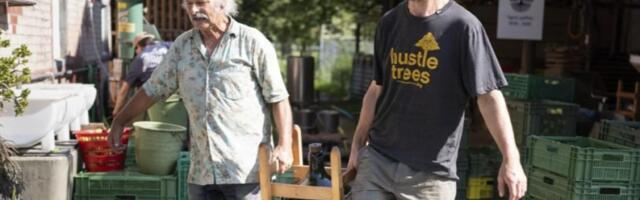 Ne može svako biti švajcarski seljak: Zatvara se preko 800 farmi godišinje