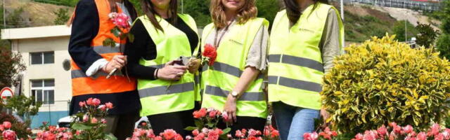Svetski dan zaštite životne sredine: Ružičnjak borske topionice - nekada industrijski otpad, danas cvetna oaza