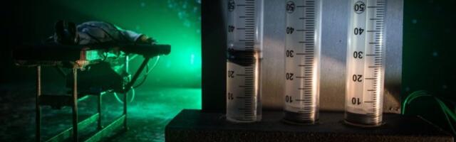 KINEZ POGUBLJEN ZBOG UBISTVA KOD ŠANGAJA! Likvidirao ženu na pravdi Boga jer je bio PREZADUŽEN i jer je hteo da okonča svoj život