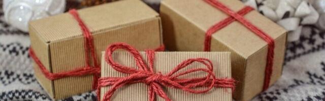 NLS: Deca na Zvezdari ostaju bez novogodišnjih paketića dok se novac troši za Ćacilend