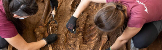 Шпанија открила још једну жртву Франковог режима: Ексхумације улазе у нову фазу