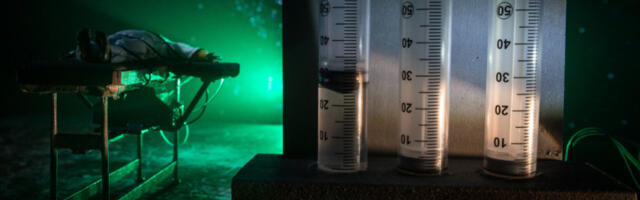 NAJJEZIVIJI REKORD GODINE: Broj pogubljenja po trgovima premašio sve stare brojke