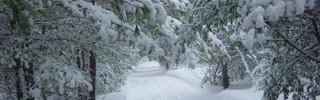 Kocić: Smiruje se situacija nakon sinoćnih obilnih padavina, nadležne službe u pripravnosti