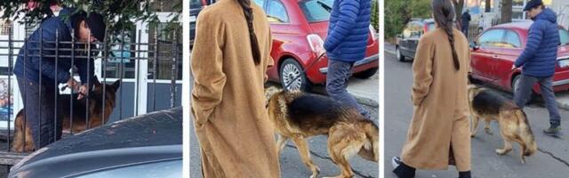 MEMEDOVIĆ STIGAO NA GLASANJE: Svi gledali u njegovog PSA - evo šta je uradio pre ulaska na biračko mesto! (PAPARACO)