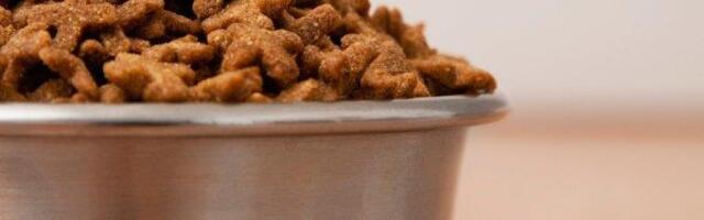 Počela javna rasprava o Nacrtu zakona o hrani za životinje: Trajaće do 5. januara, a u navedenom periodu planirano je i održavanje okruglog stola