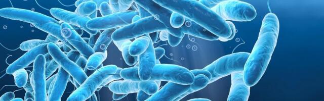 Otkrivena legionela: Novi haos u Hrvatskoj!