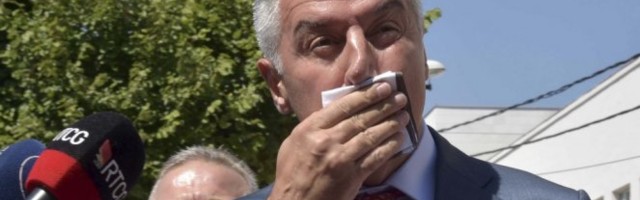 KATASTROFA ZA MILA I DPS, PRVI REZULTATI IZBORA U HERCEG NOVOM! Đukanoviću poslata jasna poruka, VREME JE...