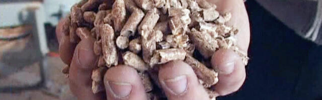 Nestašica peleta u Prijepolju