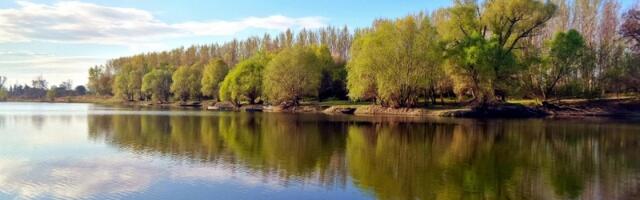 Dunav - skriveni svet prirode sa hiljadama vrsta biljnog i životinjskog sveta