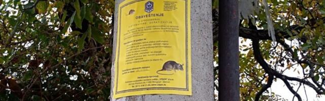PROLEĆNA DERATIZACIJA: Besplatni tretmani u Požarevcu do 15. aprila