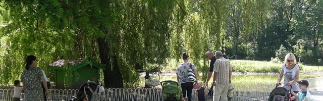 Lep prolećni dan pred Novosađanima