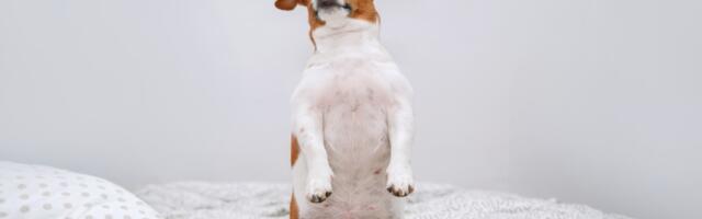 Odvratne navike koje su zapravo dobre po vas