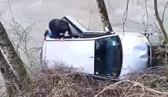Ivica junak velike drame: Skočio u akciju čim je video auto u reci, pojavio se zapanjujući snimak