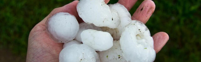 Велика штета на малињацима услед невремена