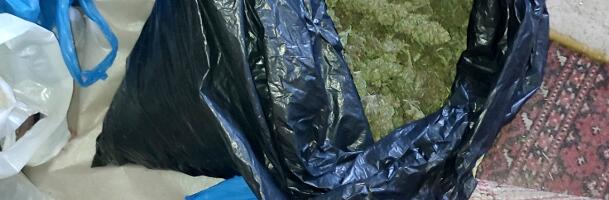 Uhapšeni zbog uzgajanja i prodaje marihuane. Pronađeno 5 kilograma marihuane i 25 stabljika kanabisa