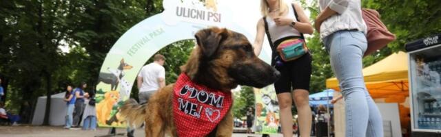 Pravo na Kalemegdan po dozu endorfina! Festival Ulični psi spremio je bogat program za ljubitelje veselih repića