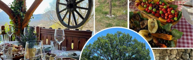 GDE JESTI U TREBINJU: Kod Manastira Tvrdoš krije se domaćinstvo sa tradicionalnom hercegovačkom trpezom i pogledom za pamćenje