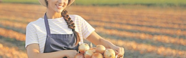 ČUDOTVORNI LUK! Napravite tinkturu za JAČI IMUNITET, čaj protiv alergija i VISOKOG PRITISKA, sirup PROTIV KAŠLJA!