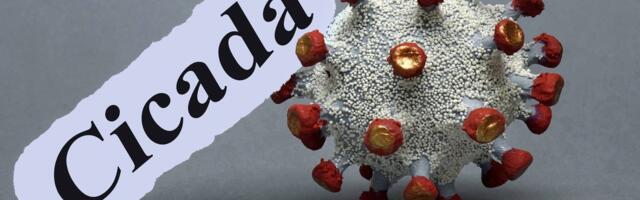 Nova varijanta koronavirusa Cicada: Brzo se širi, a ovo su simptomi na koje treba obratiti pažnju