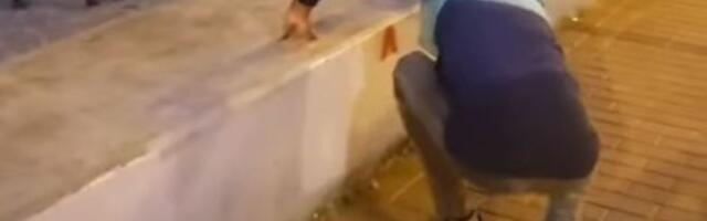 Građani Novog Sada prekrečili grafite protiv studenata na Dunavskom keju (VIDEO)