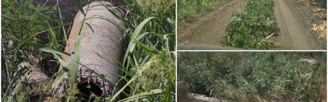 PRVE SLIKE SA MESTA NESREĆE U BATAJNICI Mladići vozili kvad po njivi, upali u jedva vidljiv kanal, meštani otkrili detalje: Trebalo je da se ženi za 10 dana...