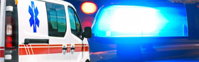 JEZIVE SCENE NASILJA! Huligani napali dva dečaka i devojčicu! BESOMUČNO IH TUKLI ŠIPKAMA!