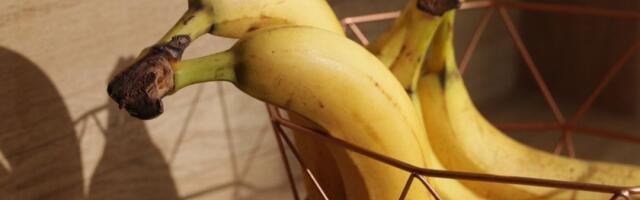 Nakon ovoga nikada više nećete čuvati banane u frižideru - jedan je razlog